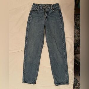 American Eagle Womens Hi Rise Mom Straight Jean Size 0 W/Stretch Waistband